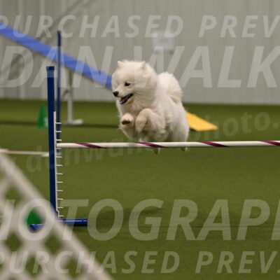 Expo-Pam-Lewis-04035