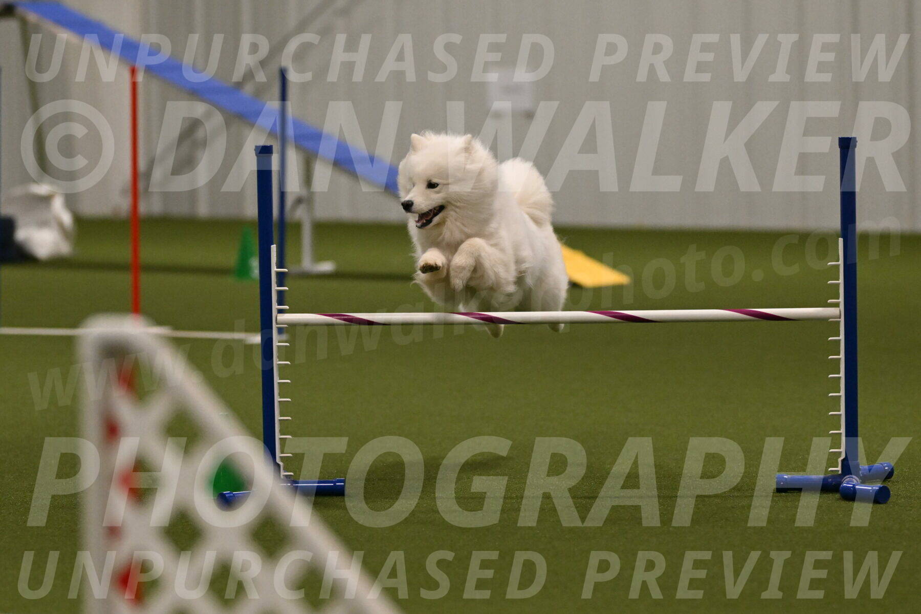 Expo-Pam-Lewis-04035