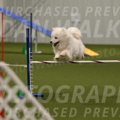 Expo-Pam-Lewis-04036