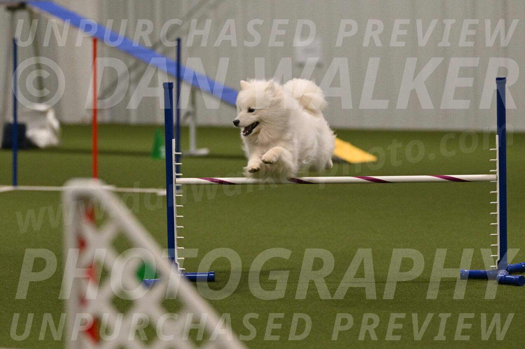 Expo-Pam-Lewis-04036