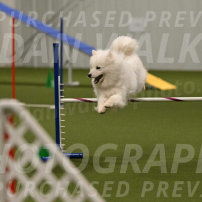 Expo-Pam-Lewis-04037