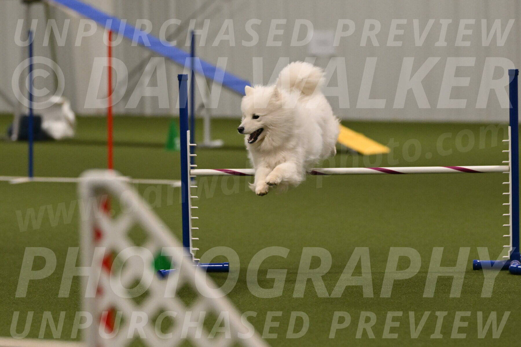 Expo-Pam-Lewis-04037