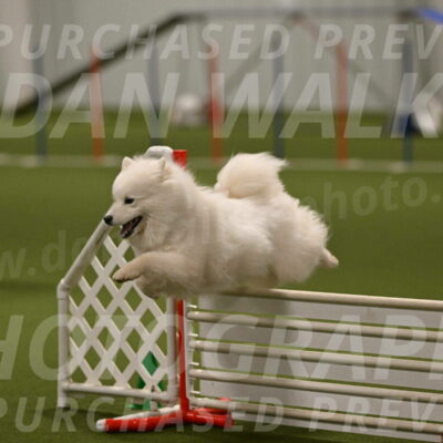 Expo-Pam-Lewis-04038