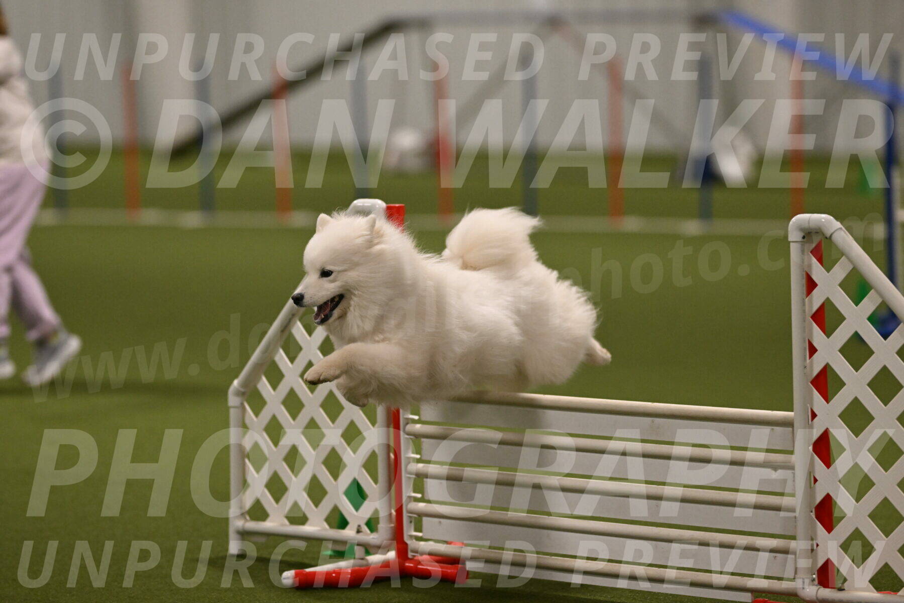 Expo-Pam-Lewis-04038