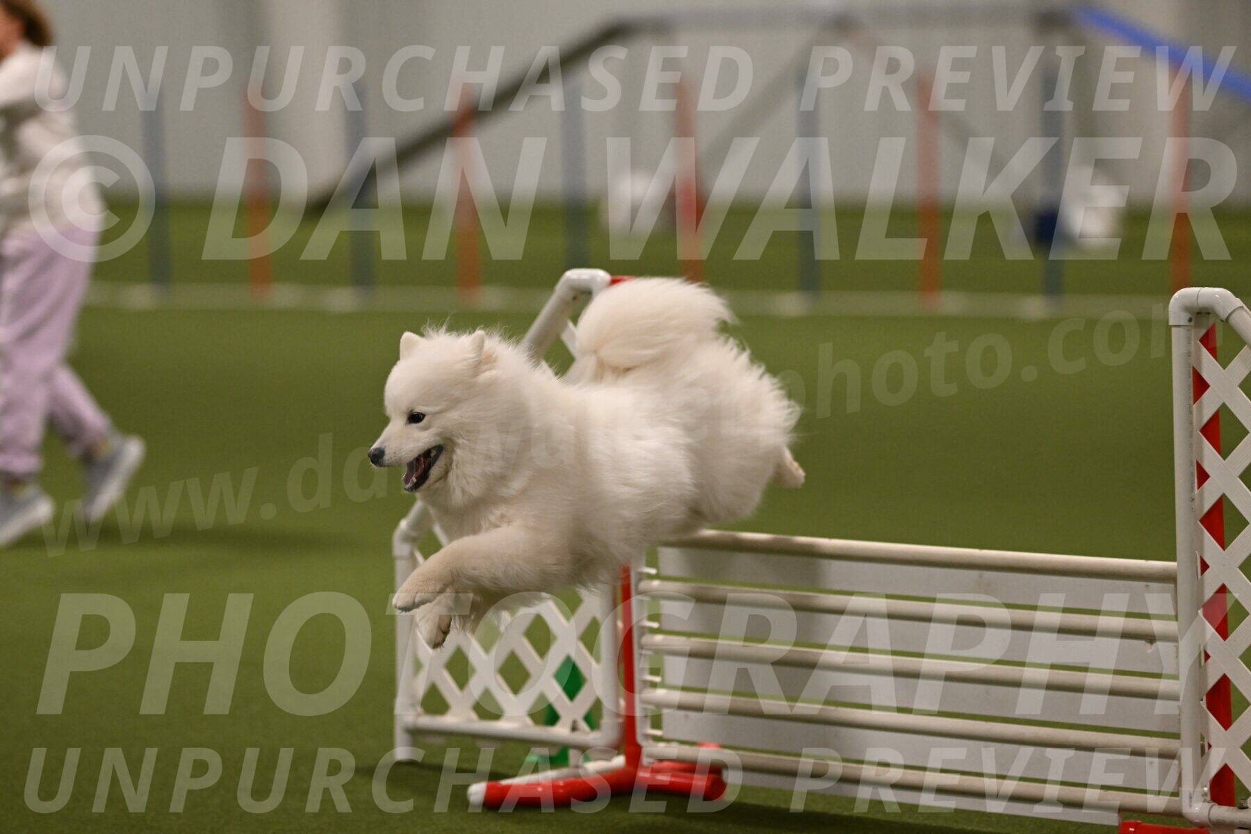 Expo-Pam-Lewis-04039