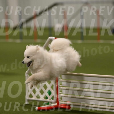 Expo-Pam-Lewis-04039