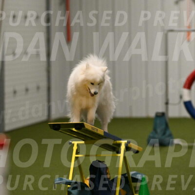 Expo-Pam-Lewis-04040