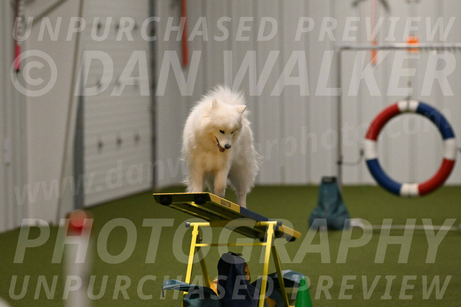 Expo-Pam-Lewis-04040