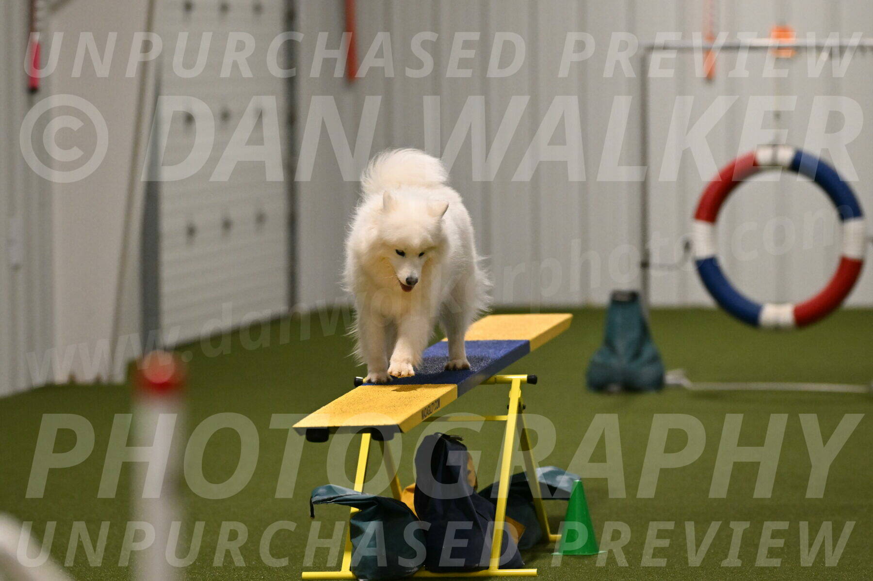 Expo-Pam-Lewis-04041