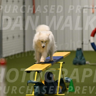 Expo-Pam-Lewis-04041