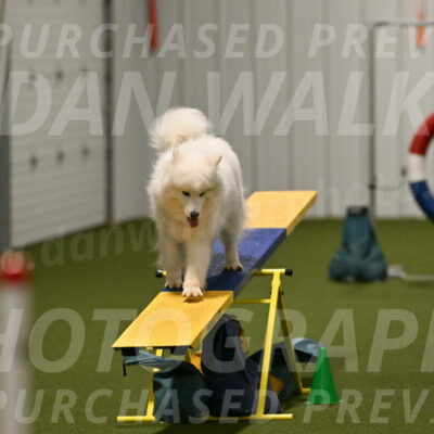 Expo-Pam-Lewis-04042