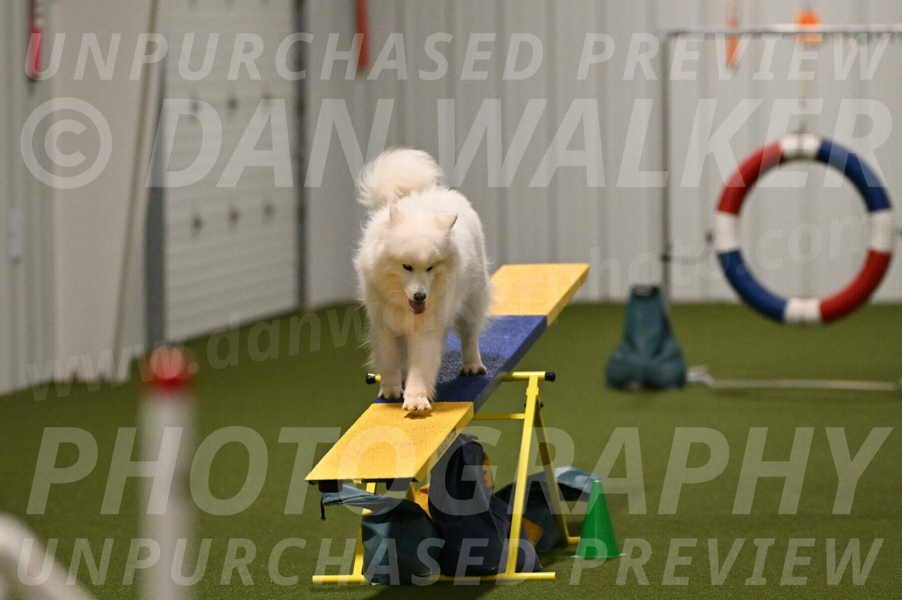 Expo-Pam-Lewis-04042