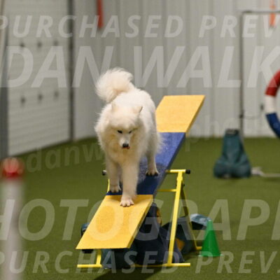 Expo-Pam-Lewis-04043