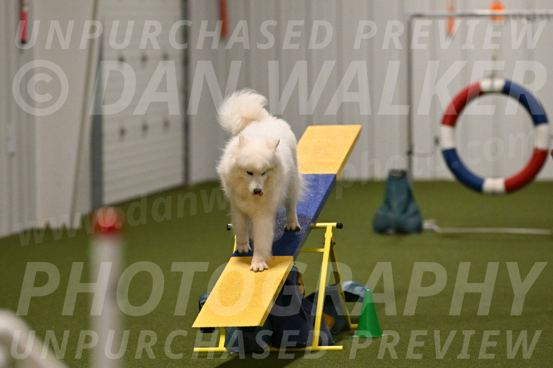 Expo-Pam-Lewis-04043