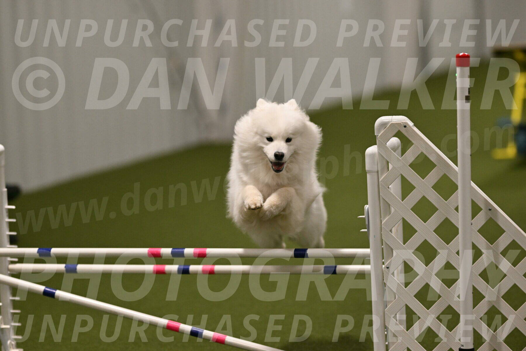 Expo-Pam-Lewis-04044