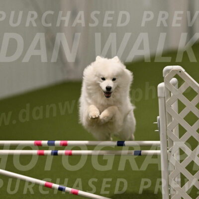 Expo-Pam-Lewis-04044