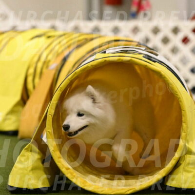 Expo-Pam-Lewis-04045