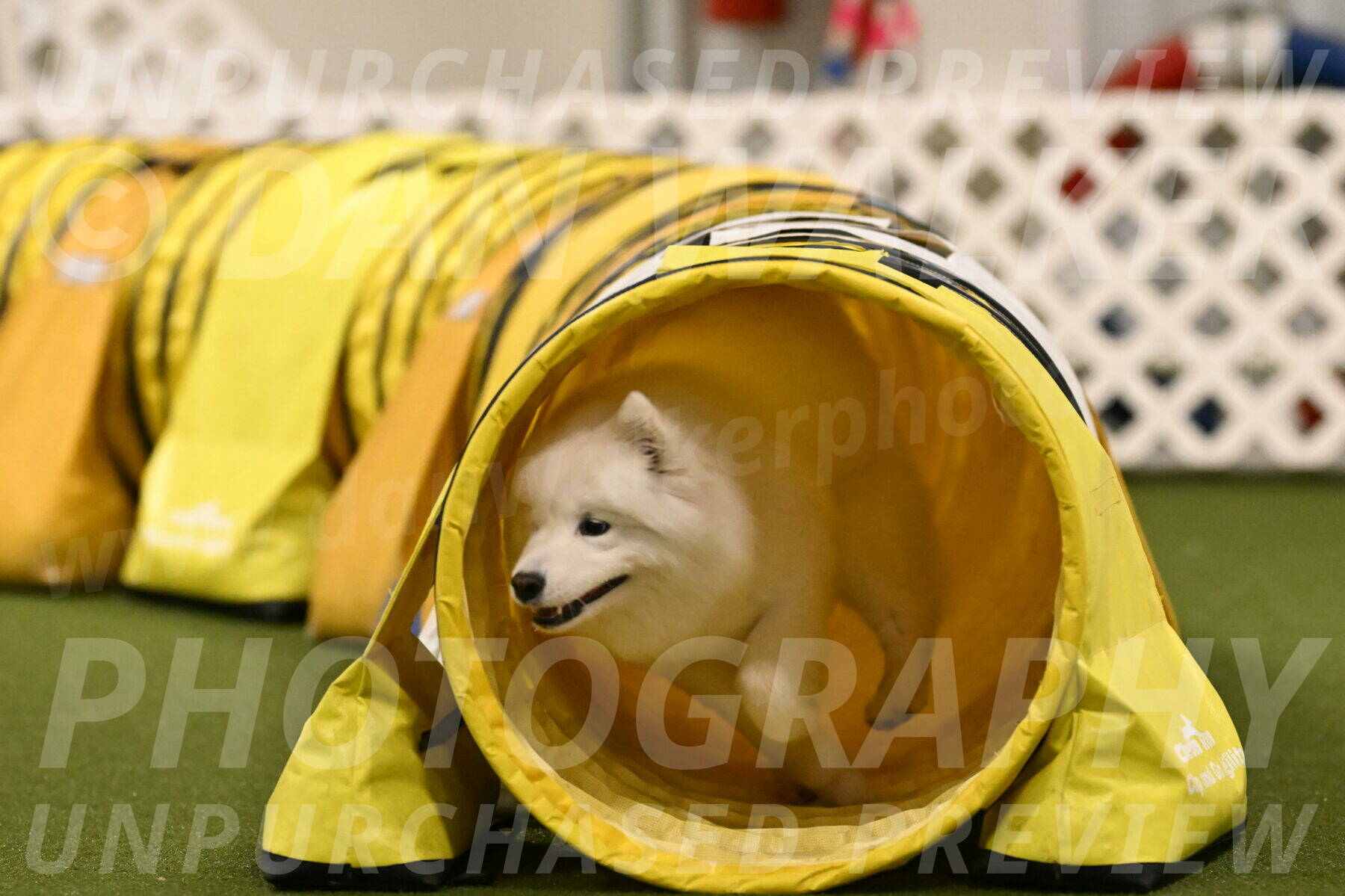 Expo-Pam-Lewis-04045