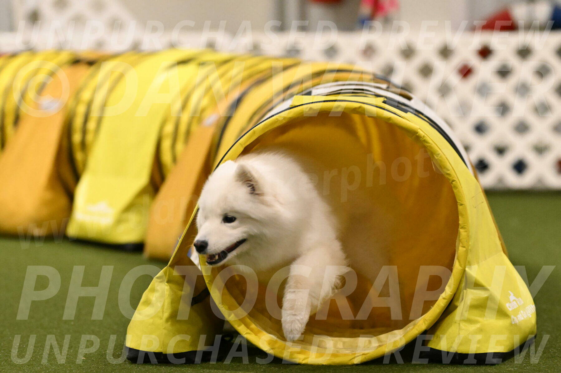 Expo-Pam-Lewis-04046