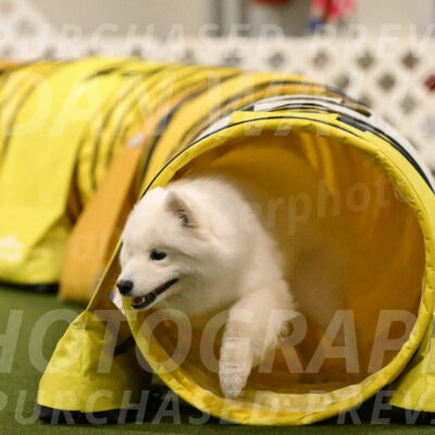 Expo-Pam-Lewis-04046