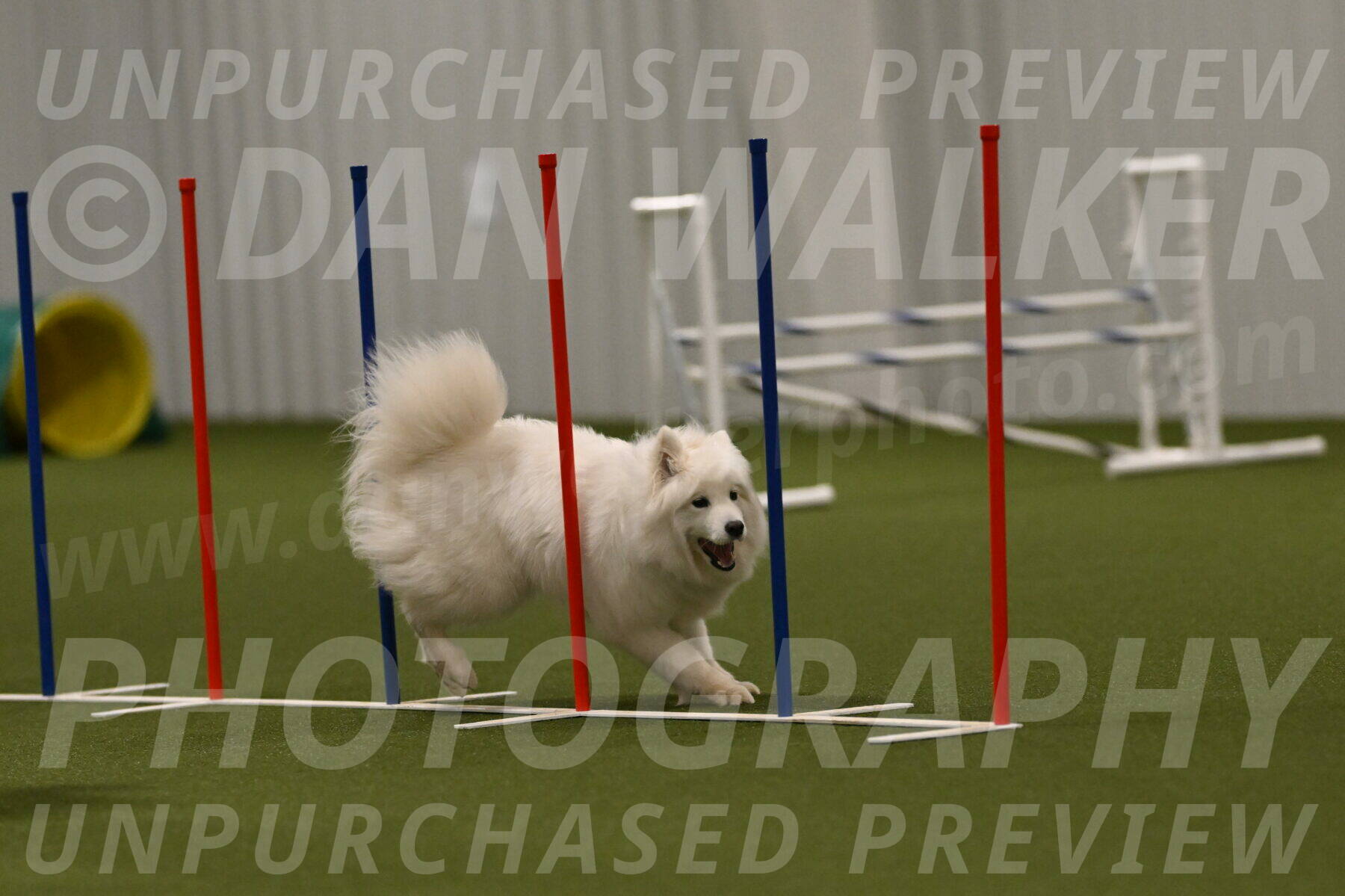 Expo-Pam-Lewis-04047