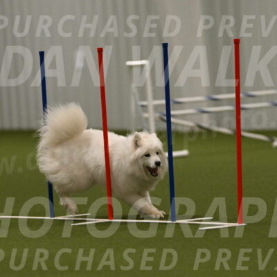 Expo-Pam-Lewis-04047