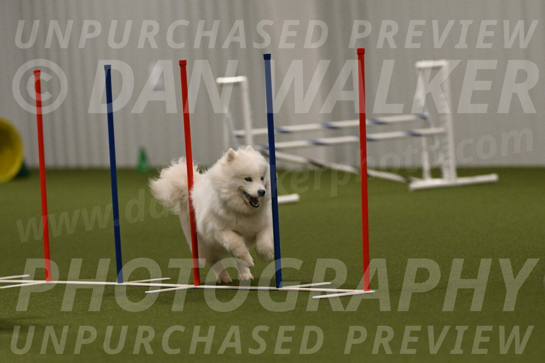 Expo-Pam-Lewis-04048