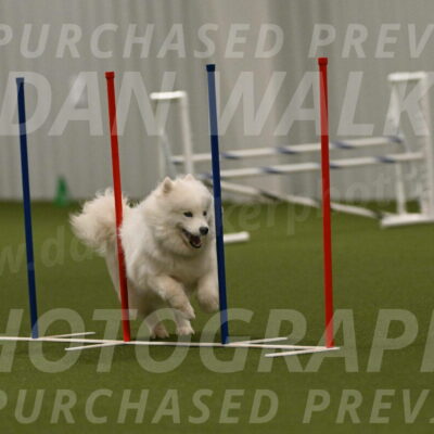 Expo-Pam-Lewis-04048