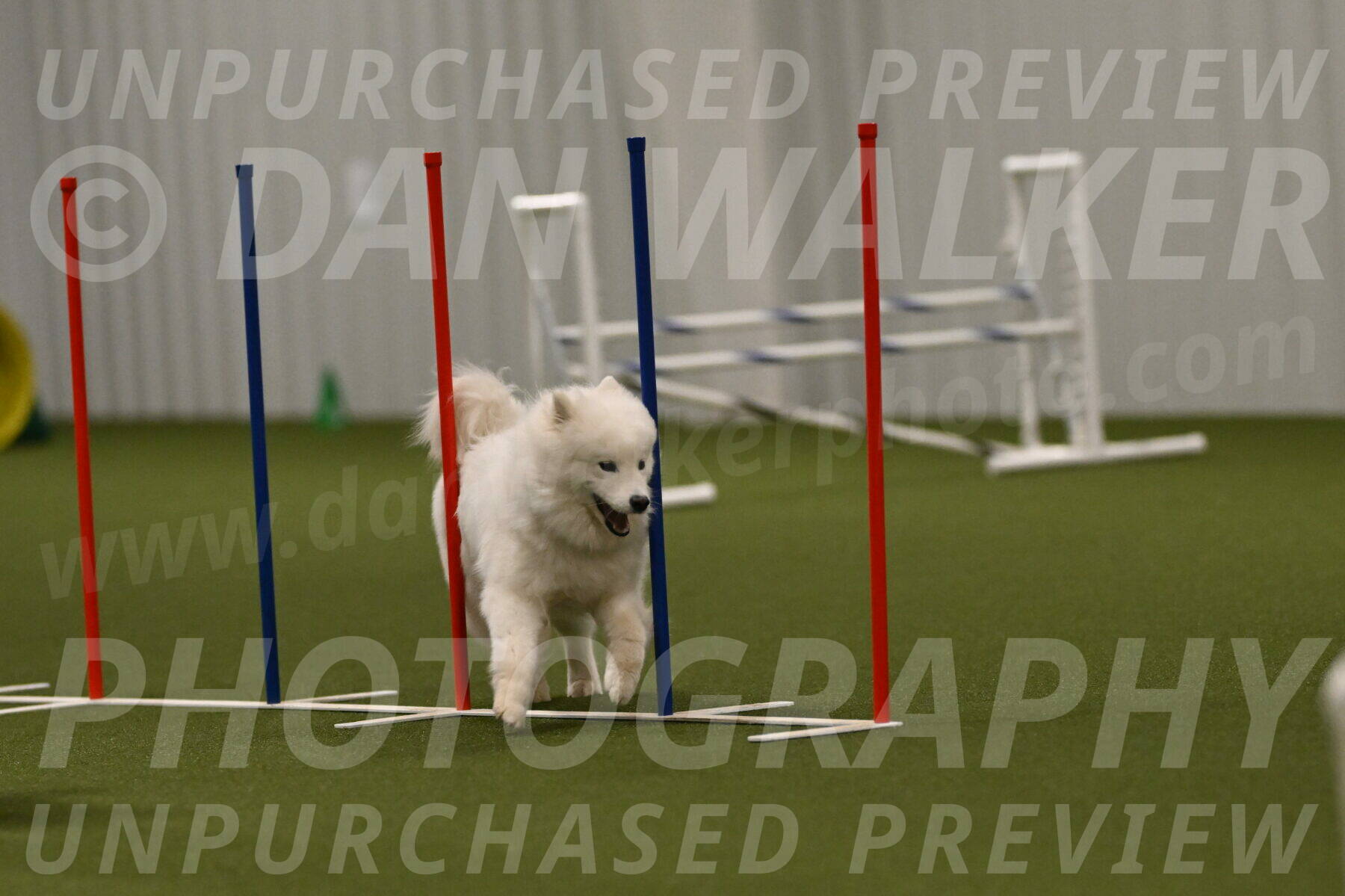 Expo-Pam-Lewis-04049