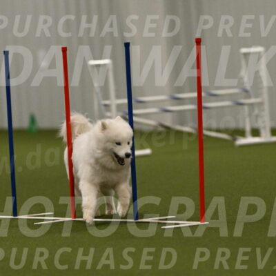 Expo-Pam-Lewis-04049