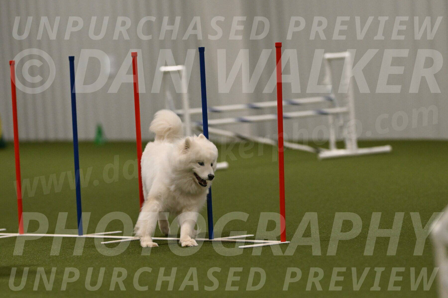 Expo-Pam-Lewis-04050