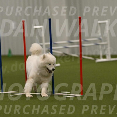 Expo-Pam-Lewis-04050