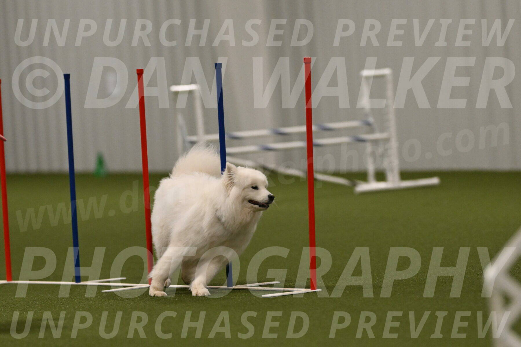 Expo-Pam-Lewis-04051