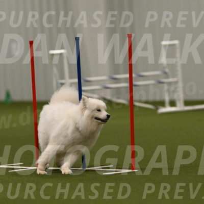 Expo-Pam-Lewis-04051