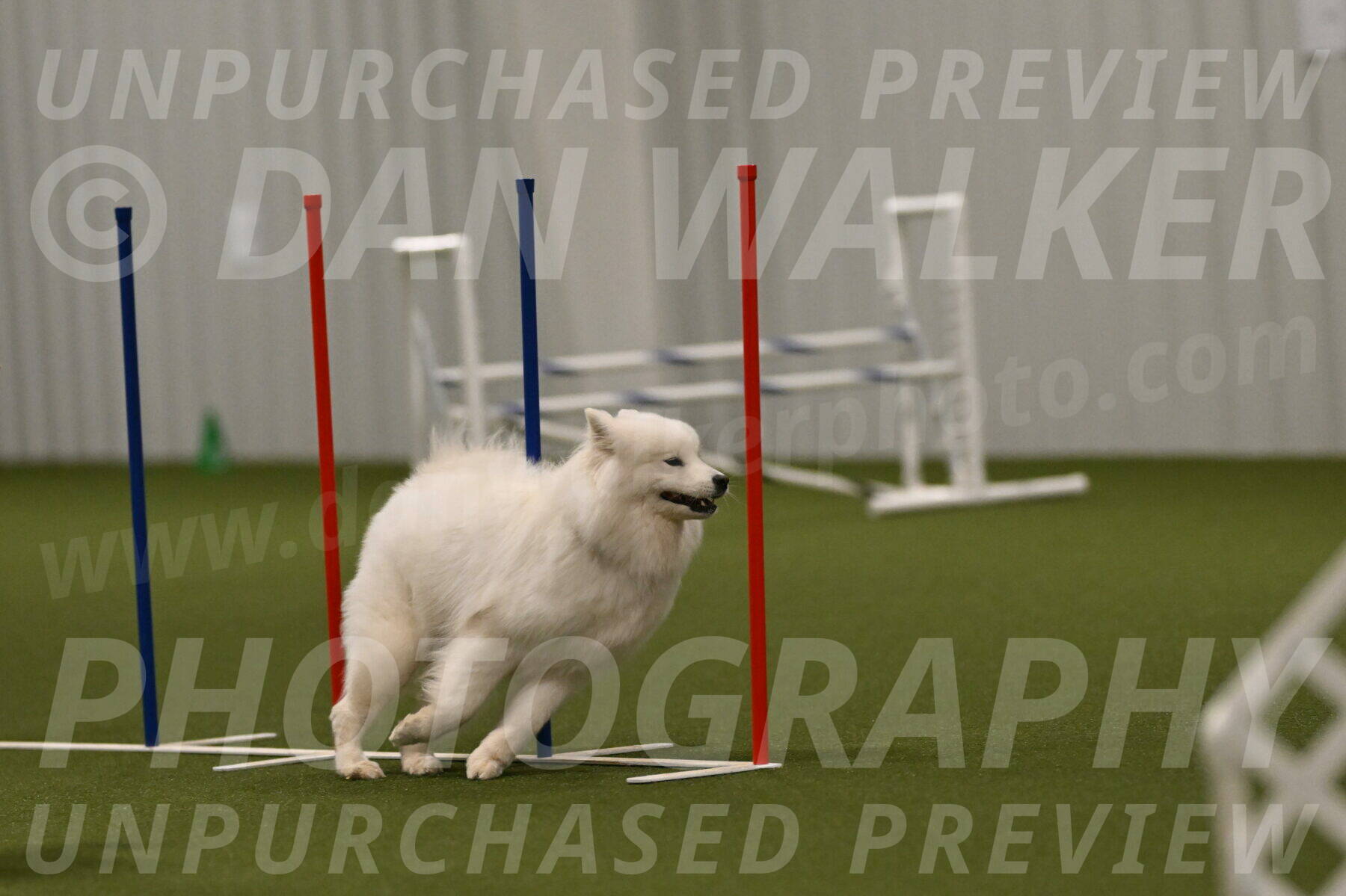 Expo-Pam-Lewis-04052