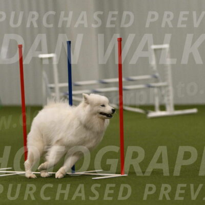 Expo-Pam-Lewis-04052