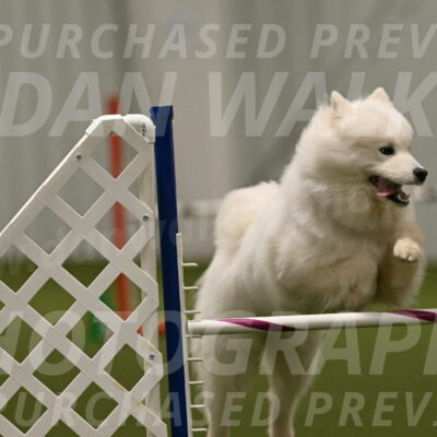 Expo-Pam-Lewis-04053