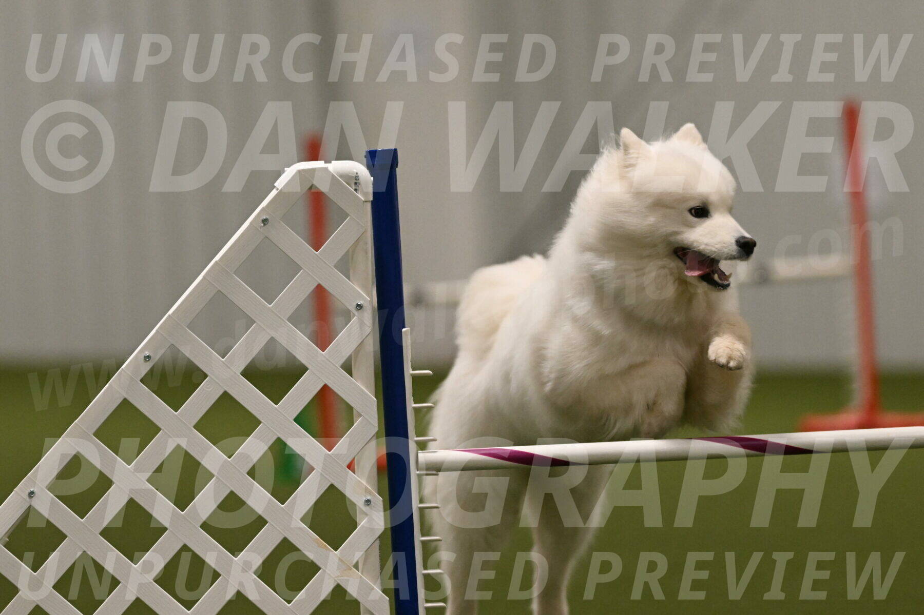 Expo-Pam-Lewis-04053