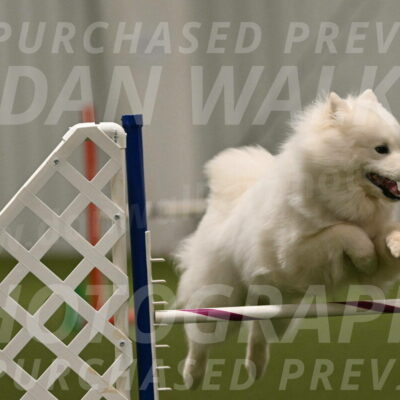 Expo-Pam-Lewis-04054