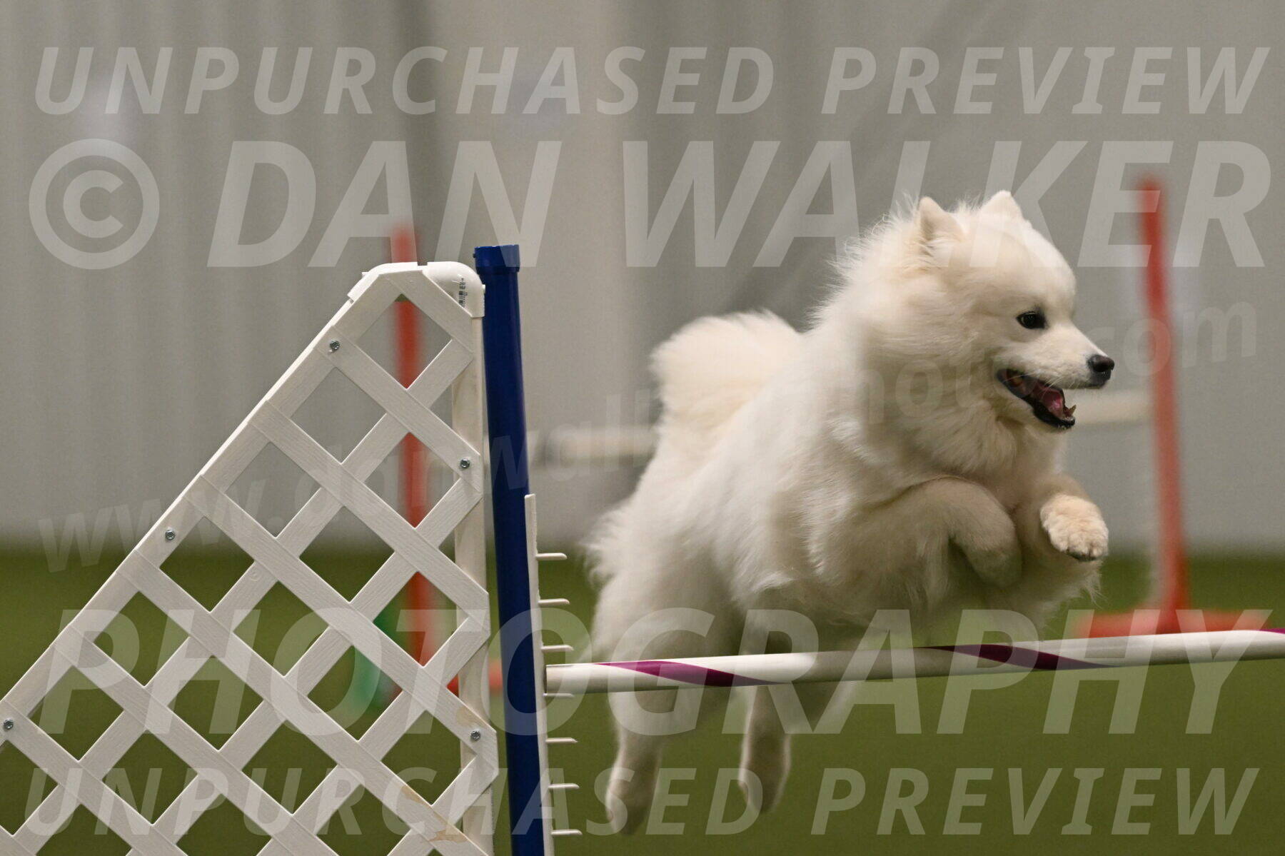 Expo-Pam-Lewis-04054