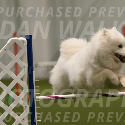 Expo-Pam-Lewis-04055