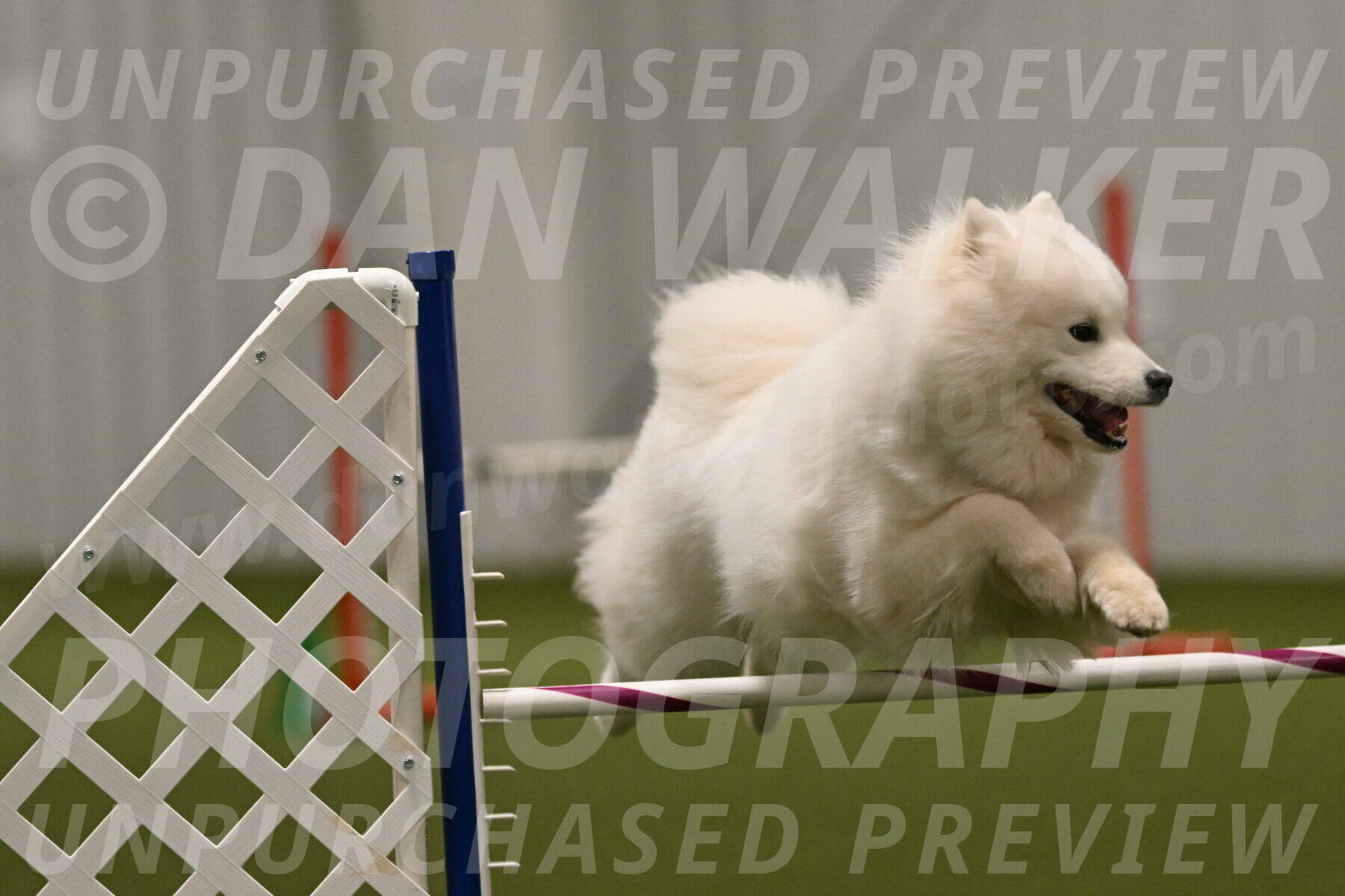 Expo-Pam-Lewis-04055