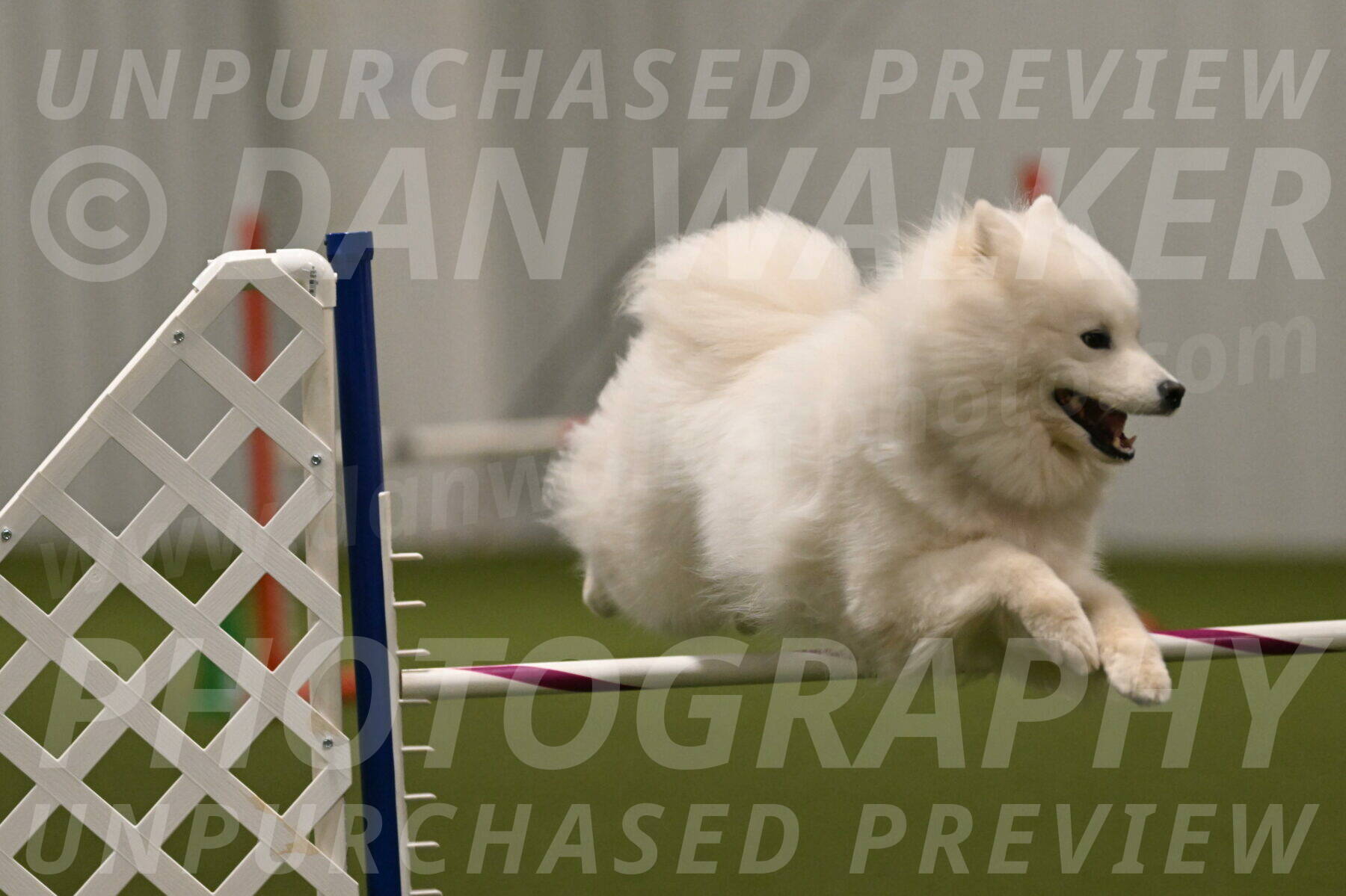 Expo-Pam-Lewis-04056