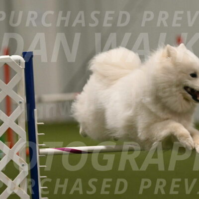 Expo-Pam-Lewis-04056