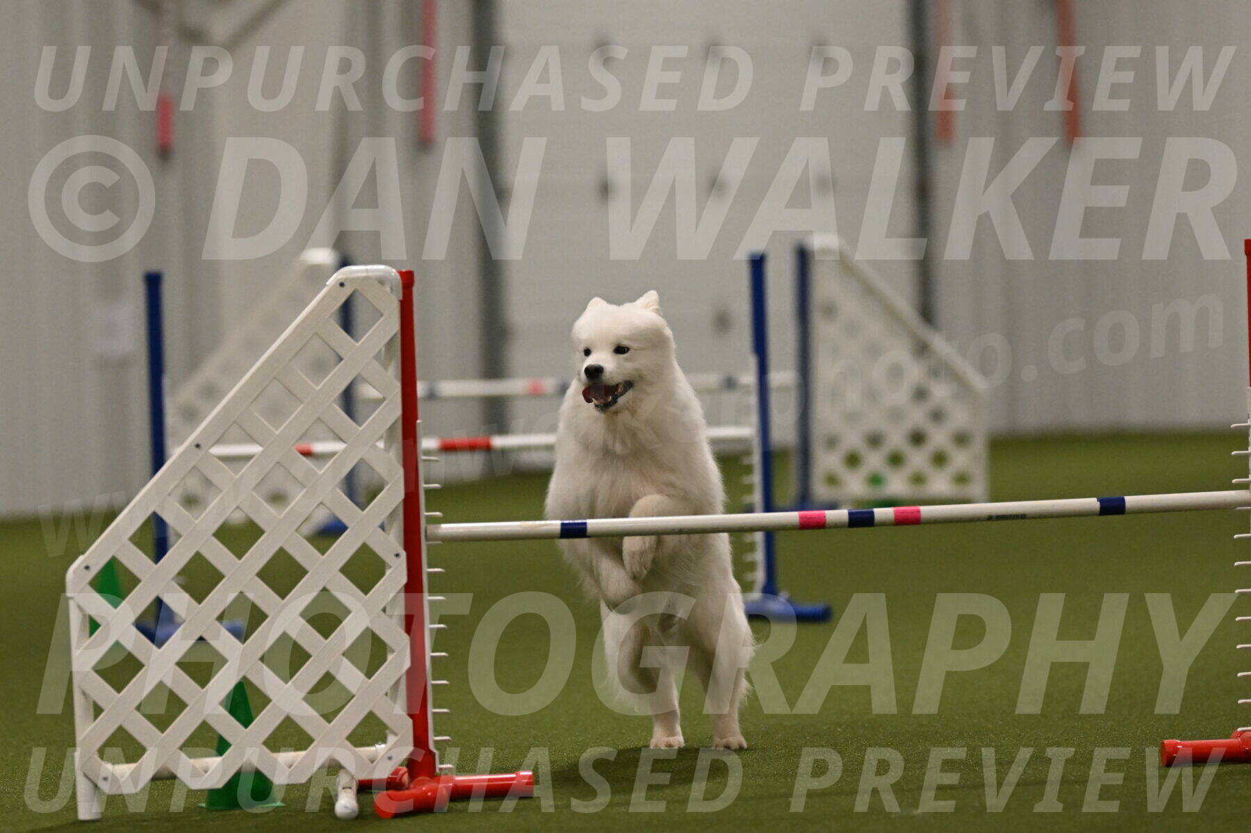 Expo-Pam-Lewis-04057