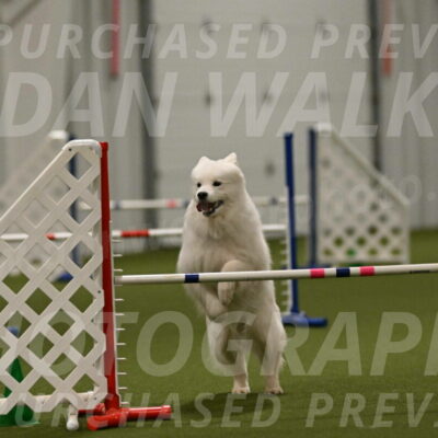 Expo-Pam-Lewis-04057