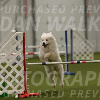 Expo-Pam-Lewis-04058