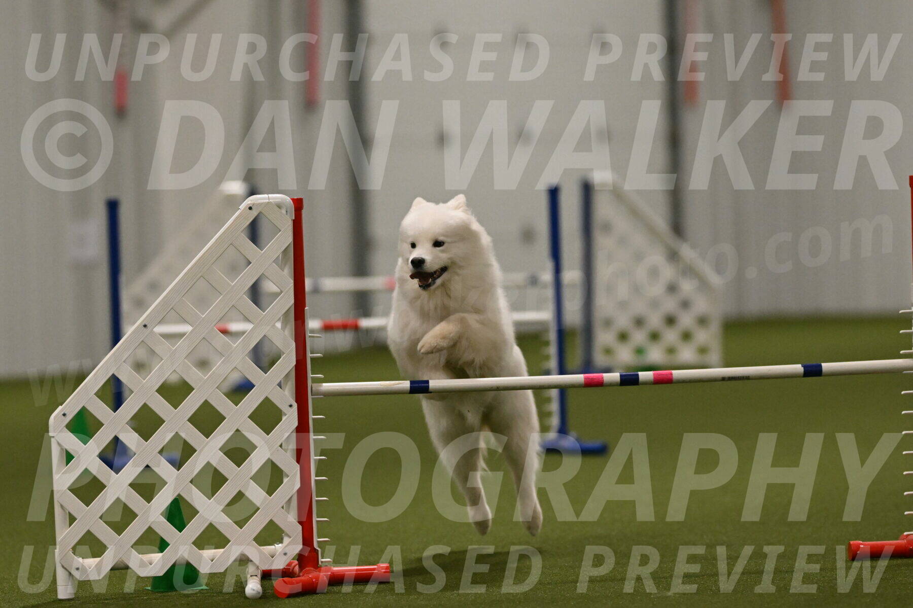 Expo-Pam-Lewis-04058