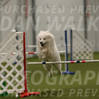 Expo-Pam-Lewis-04059