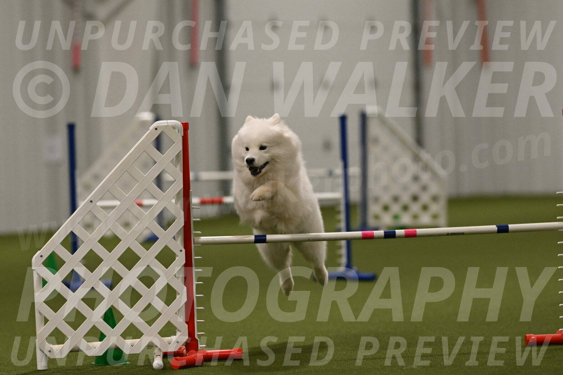 Expo-Pam-Lewis-04059